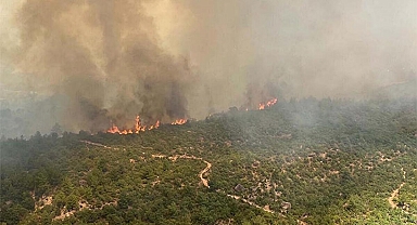 AFAD duyurdu! Yardım ödemeleri başladı