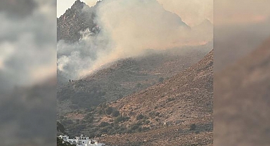 Bodrum'daki orman yangını 3 saatte anca kontrol altına alındı