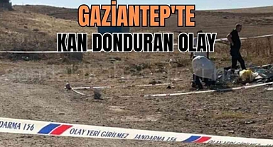 Gaziantep'te vahşet! Köpekler tarafından parçalanmış bebek cesedi bulundu