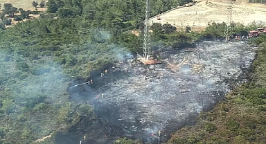 İzmir Urla'da orman yangını