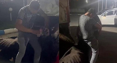 İneğe zorla alkol içirdiler... Utanmadan o anları kaydettiler